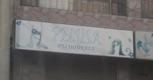 PELUSA PELUQUERIA PELUSA PELUQUERIA